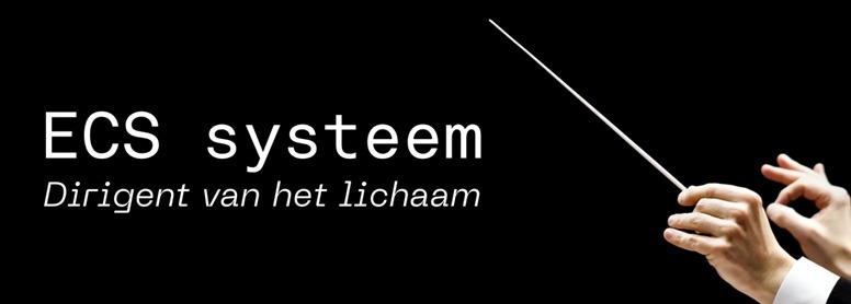 Het ECS systeem begrijpelijk uitgelegd LifeAid Het ECS systeem begrijpelijk uitgelegd LifeAid