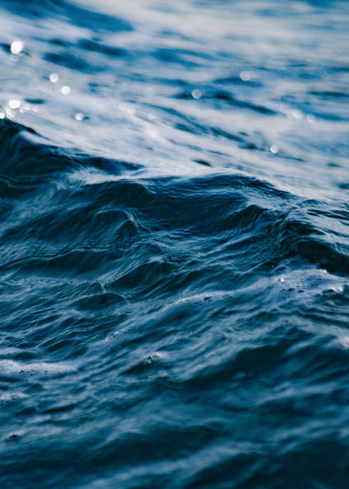 Wist je dat zeewater voor 98% overeenkomt met bloedplasma, LifeAid Wist je dat zeewater voor 98% overeenkomt met bloedplasma, LifeAid