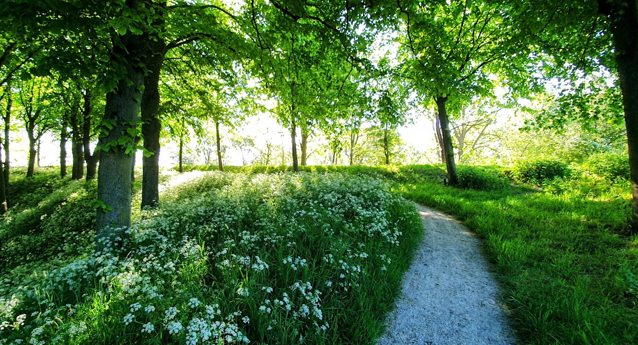 groen willemstad