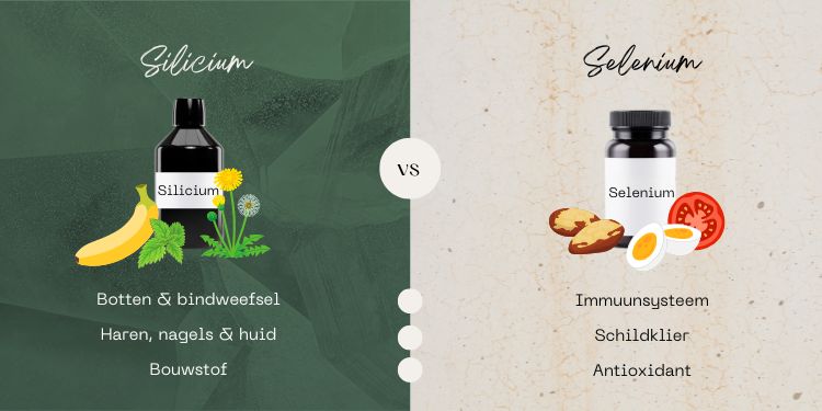Het verschil tussen silicium en selenium LifeAid Het verschil tussen silicium en selenium LifeAid