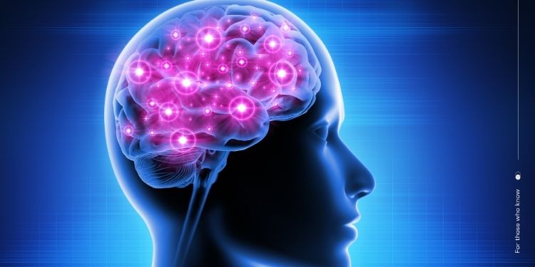 Waarom GABA receptor gevoeligheid verhogen duurzamer is dan GABA suppleren