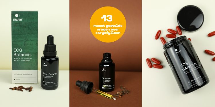 13 meest gestelde vragen over caryofylleen supplement lifeaid 13 meest gestelde vragen over caryofylleen supplement lifeaid