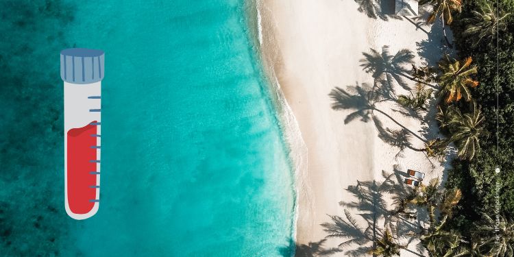 Wist je dat mineralen uit de zee gelijk zijn aan ons bloed LifeAid Immutines Wist je dat mineralen uit de zee gelijk zijn aan ons bloed LifeAid Immutines