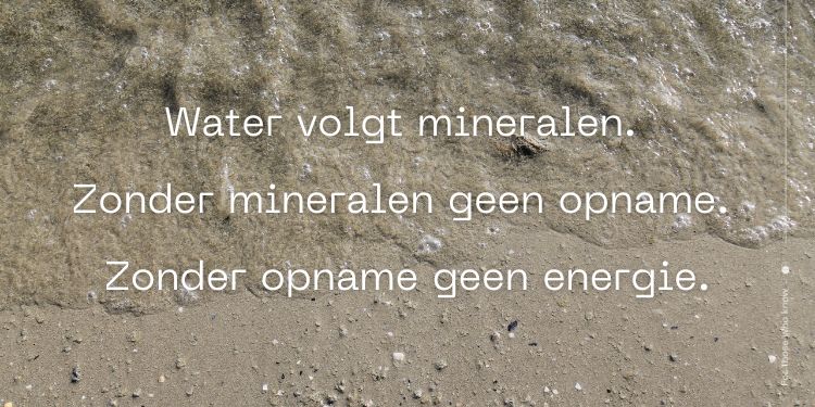 Mineralen belangrijk opname water en energie (1) Mineralen belangrijk opname water en energie (1)